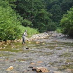 真夏のイワナ釣り